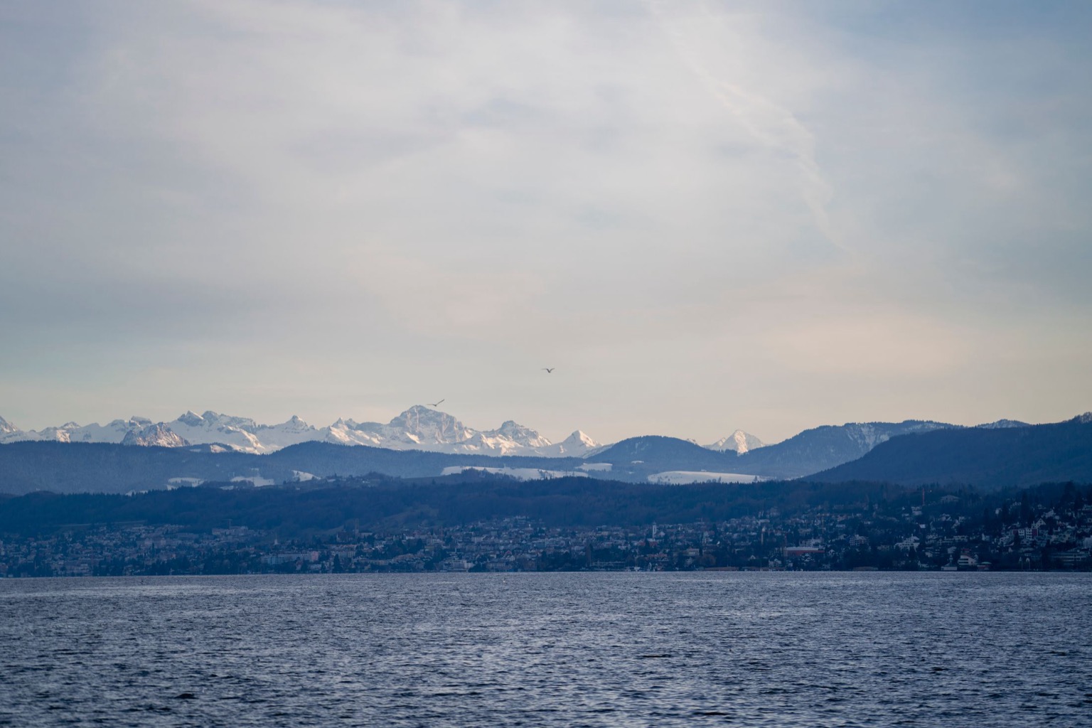 Stockfoto: Blick über den Zürichsee auf die Schweizer Alpen.