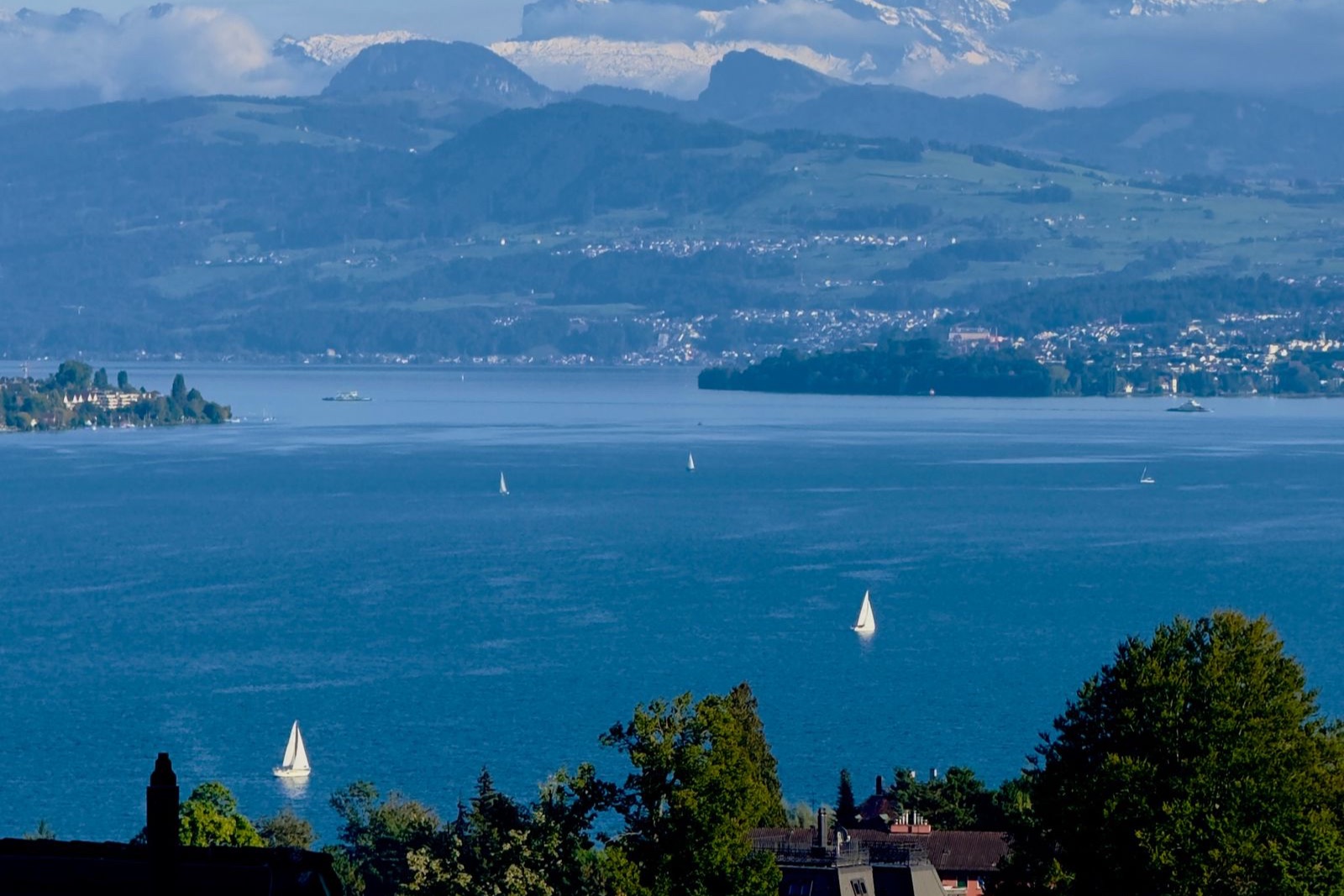Blick über den Zürichsee auf die Schweizer Alpen.